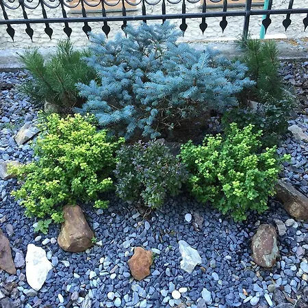 Casa Bracchi * فالديسوتو